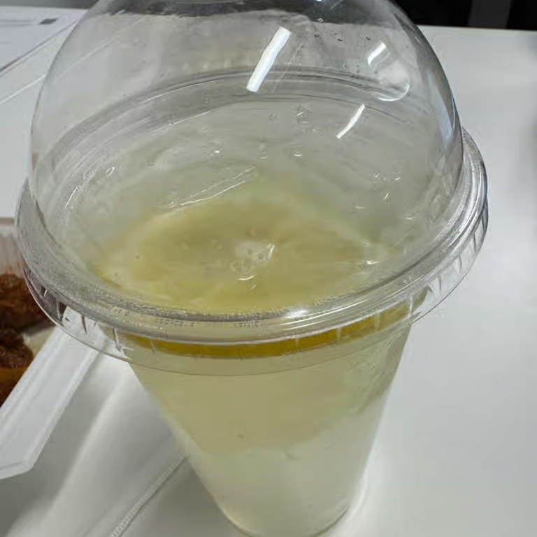 Fresh Soda Lemonade.