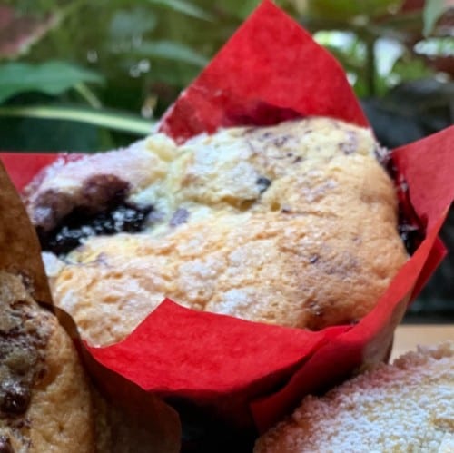 Blueberry Swirl-filled with Blueberry Compote.