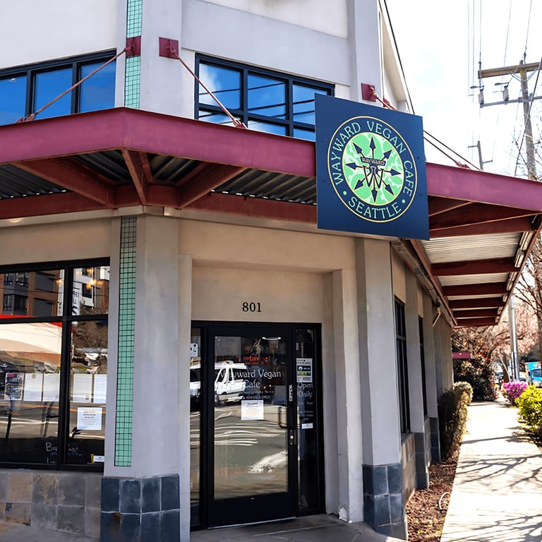 Welcome to The Wayward Vegan: A Vegan Haven