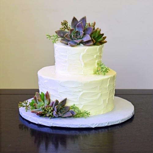 Tiered Cake-Stucco Iced Elopement- 24 hour Notice Required.