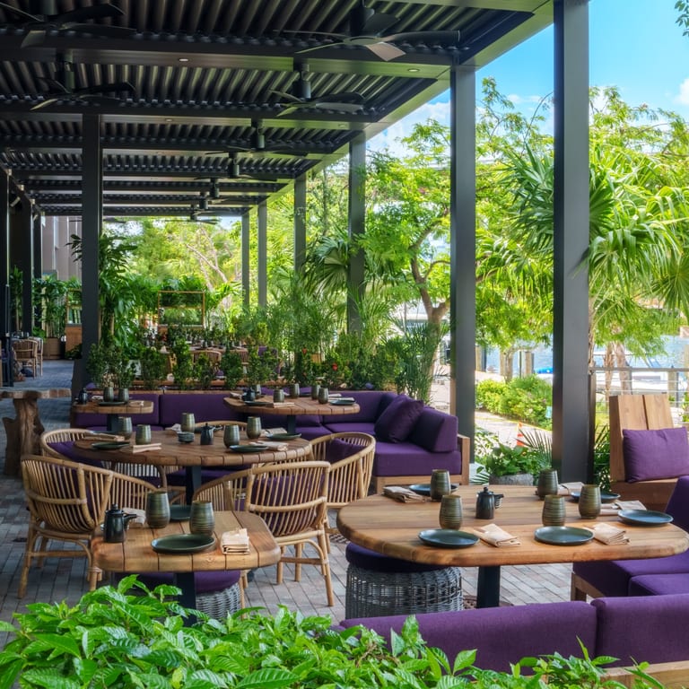 Reserve Your Table Today 