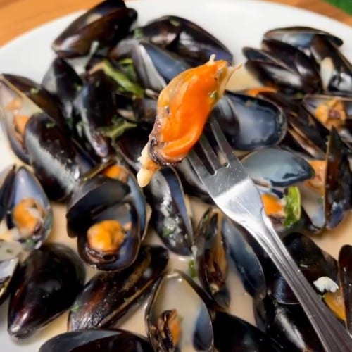 Mussels.