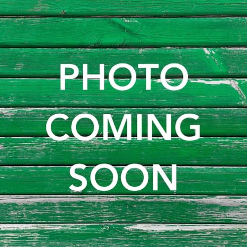 Kids Meal - Chicken Wings with Fries.