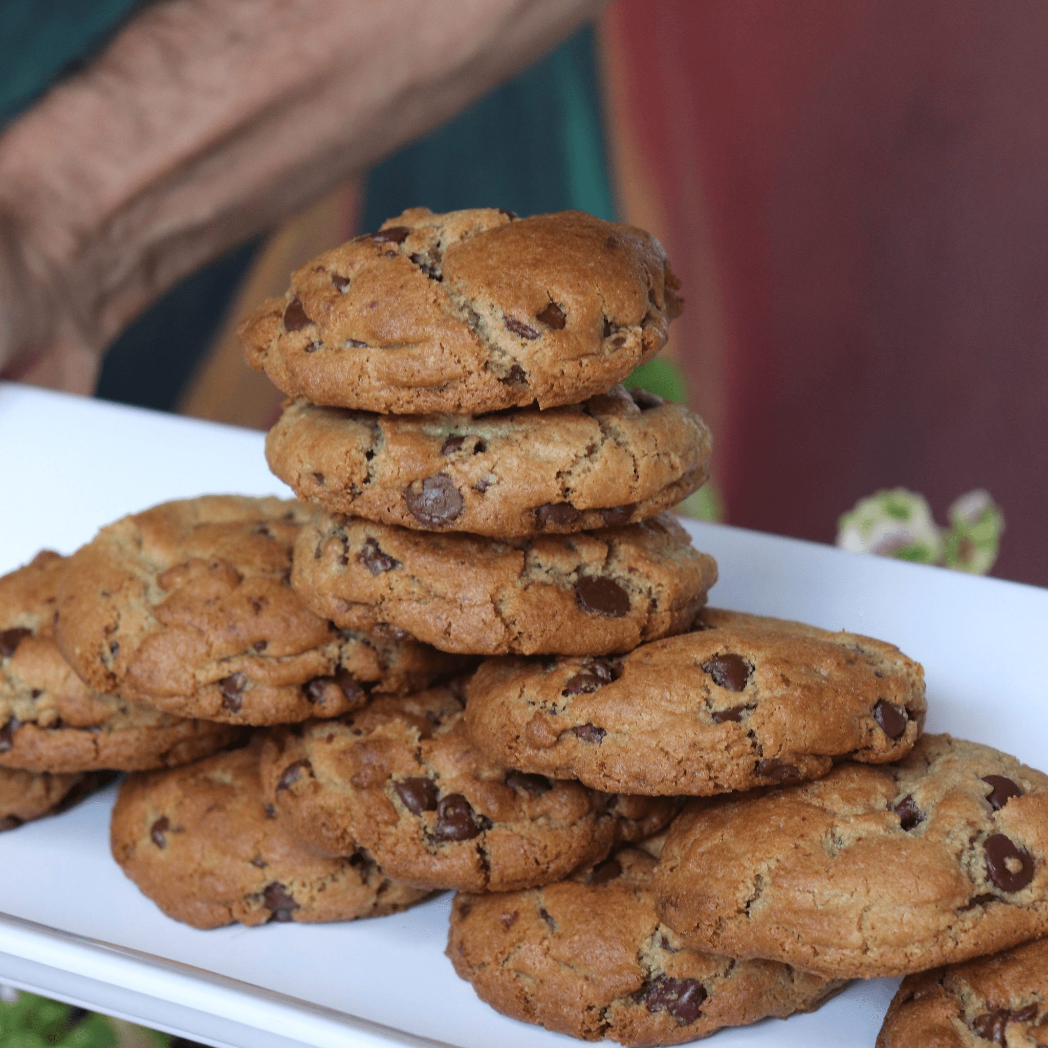 GF Chocolate Chip Cookie W/ Walnuts.