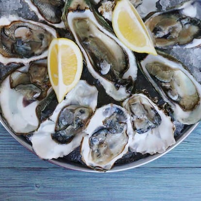 Raw Oysters.