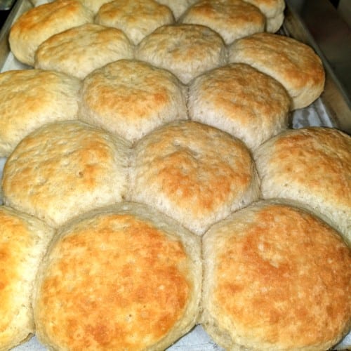 Buttermilk Biscuit.