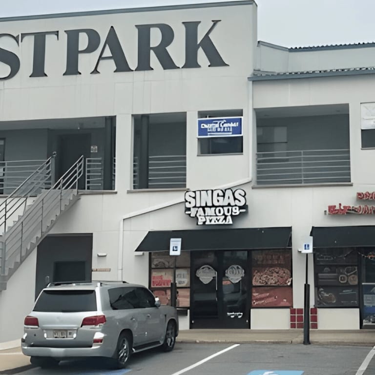 Singas Famous Pizza - Catonsville