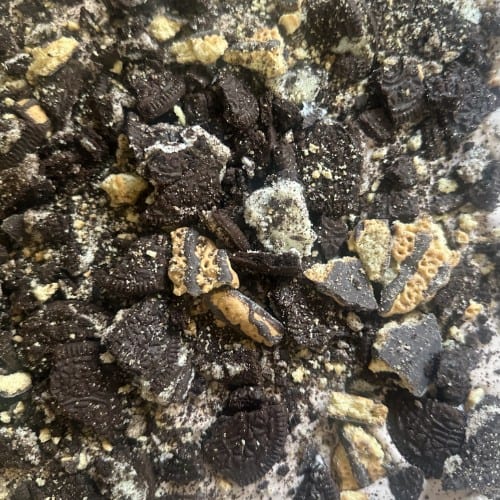 Small Chocolate Cookie Pudding.