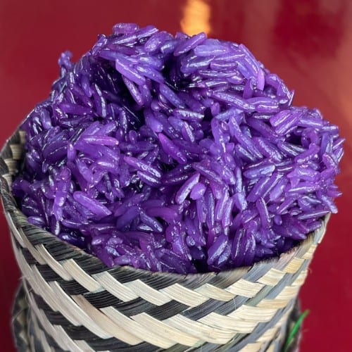 Add/side Thai Orchid Sticky Rice.