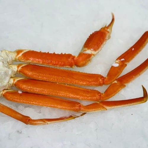 Snow Crab.