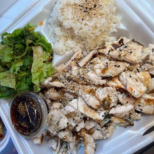 TERIYAKI CHICKEN PLATE.