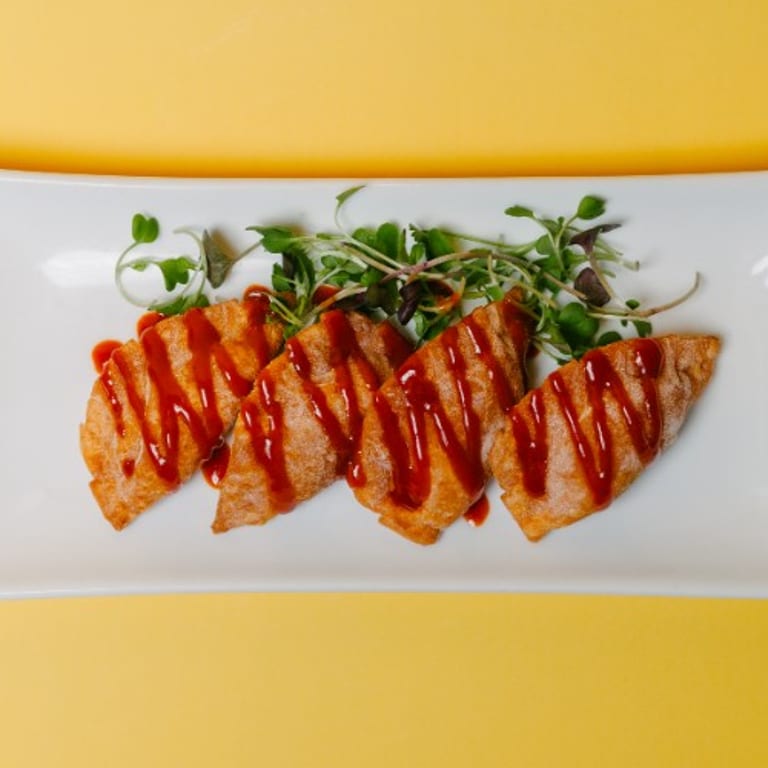 Dumpling Delights: Asian-Fusion and Vietnamese Cuisine