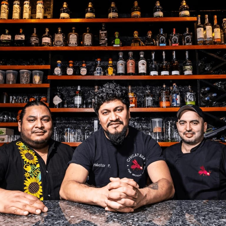 Chicatana Offers a Front-Row Seat to Sublime