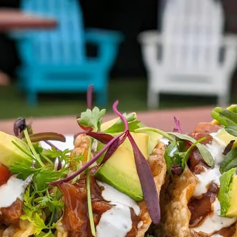 Delicious Quesadilla Creations