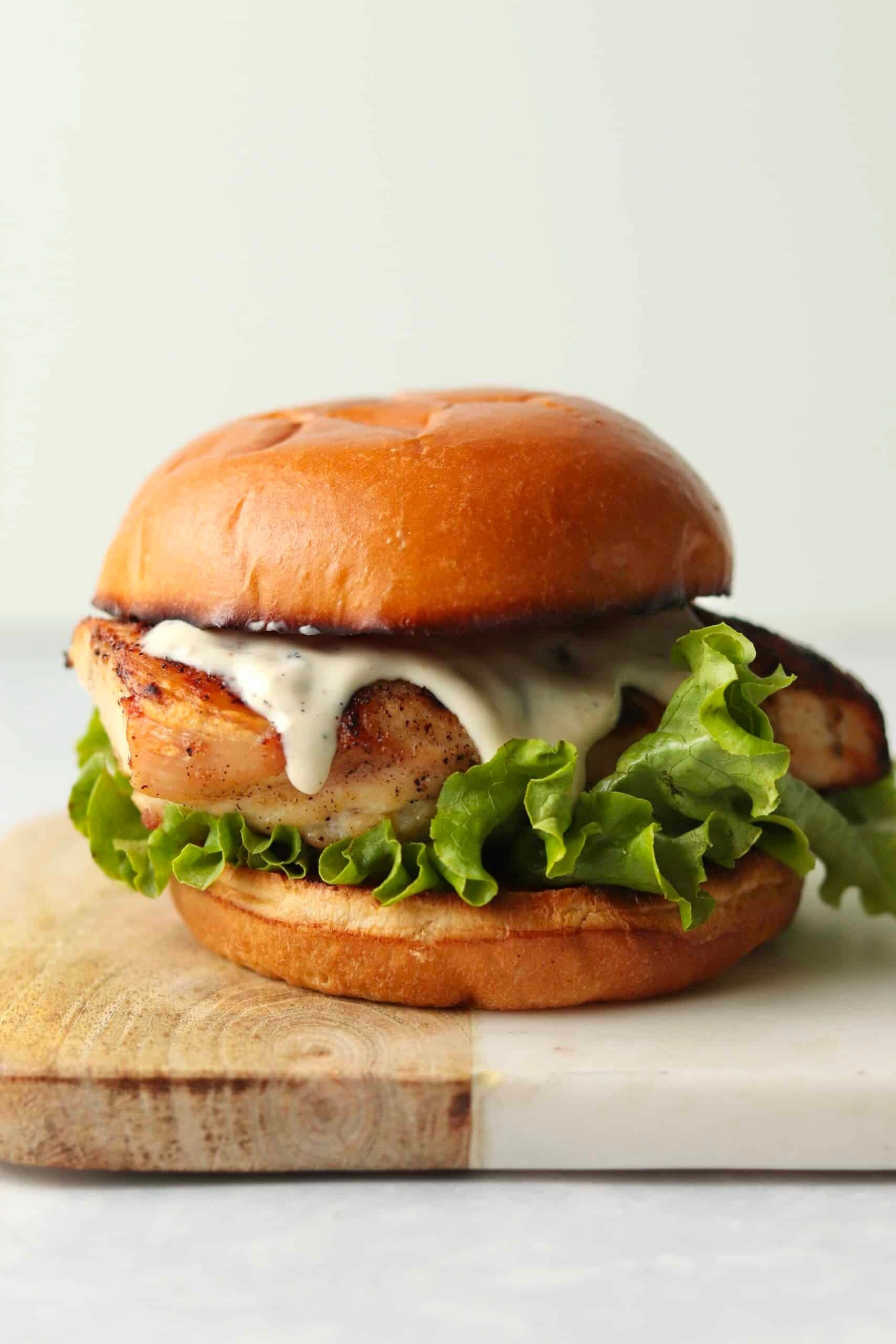 Caesar Style Grilled Chicken Sandwich.