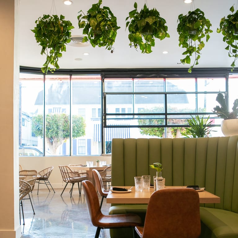 A Dining Experience You’ll Love