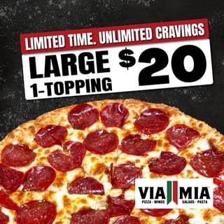 Large 1 Topping Pizza