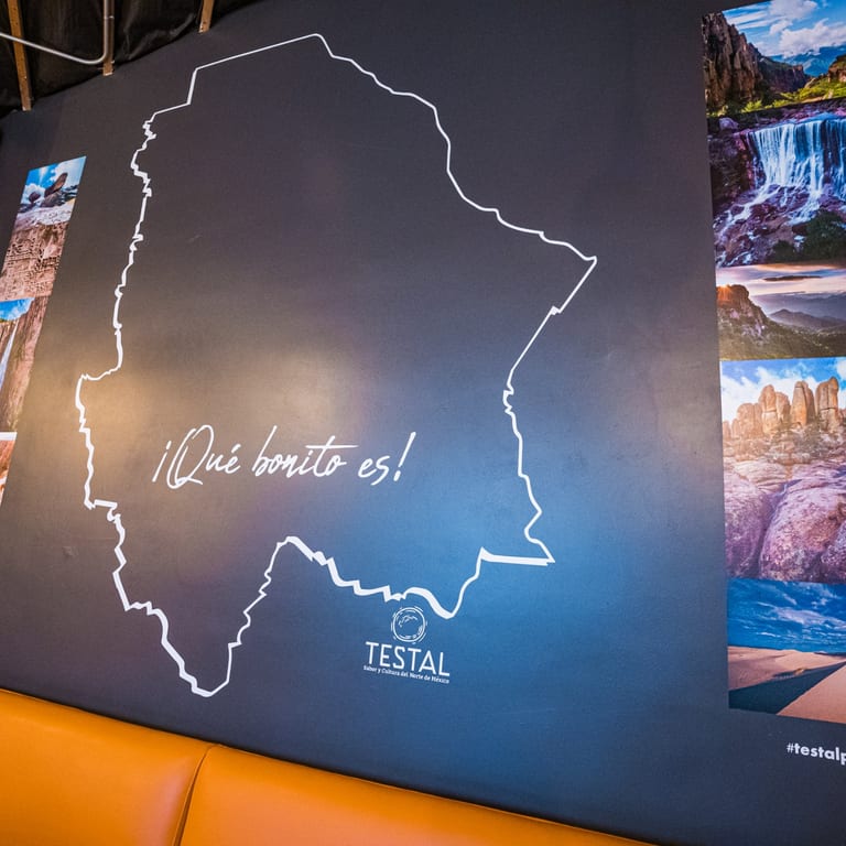 Bringing the Authentic Flavors of Mexico to You!