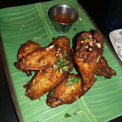 Muay Thai Wings (6).