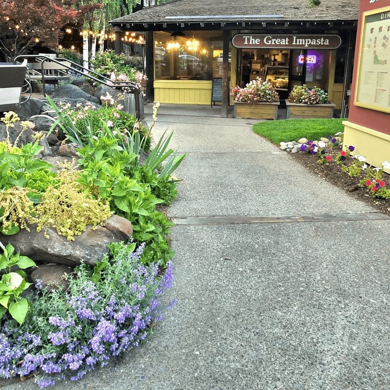 Welcome to The Great Impasta