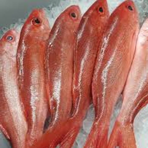 Red Snapper Whole.