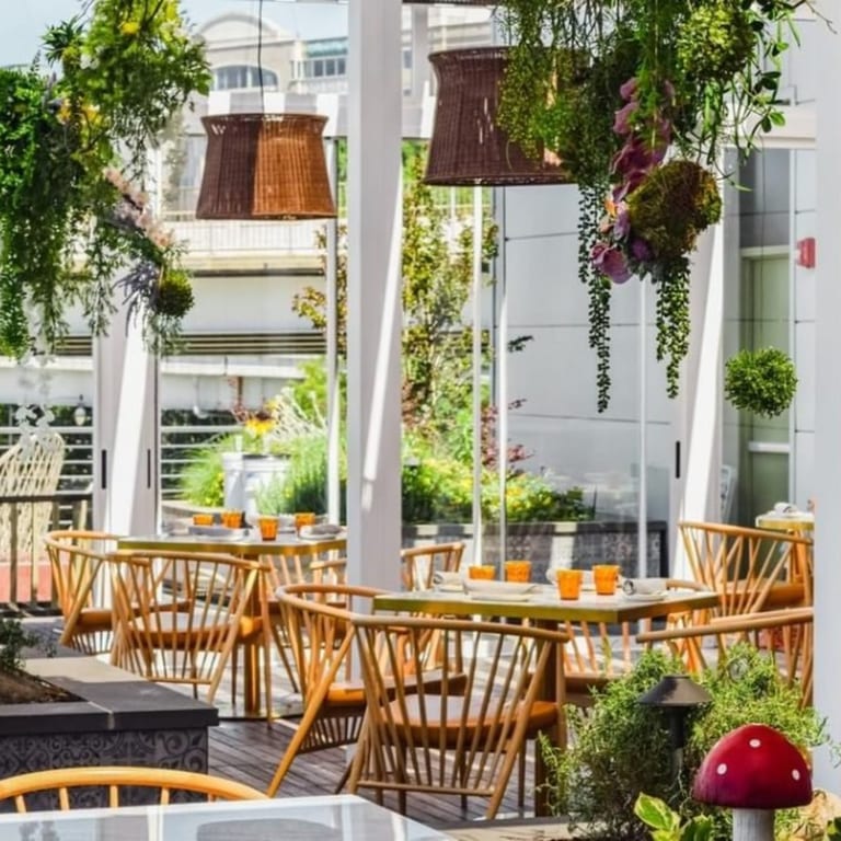 5 Rooftop Restaurants for Elevated Dining in D.C.
