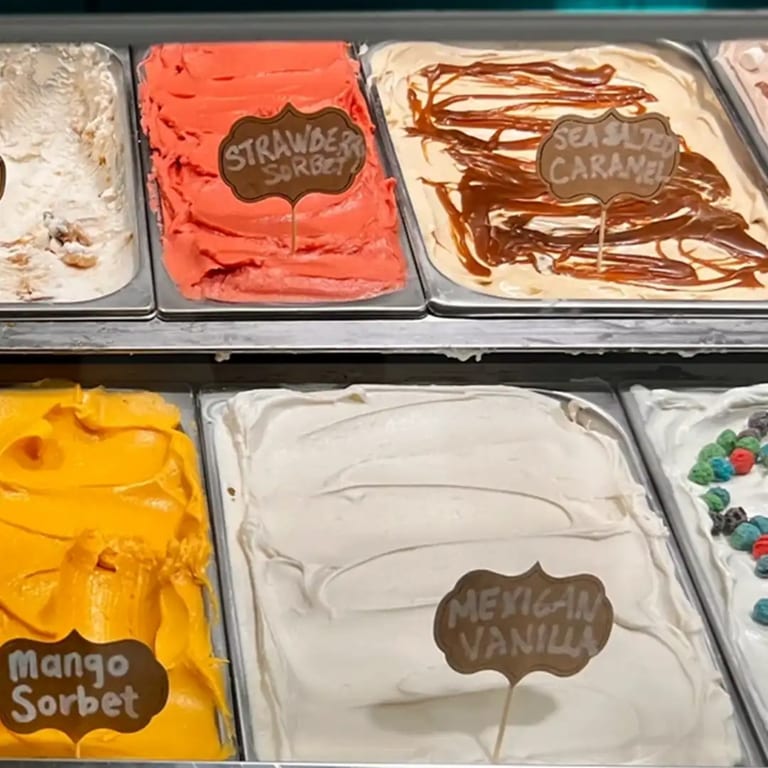 The BEST Handmade Gelato And Sorbeto In Texas