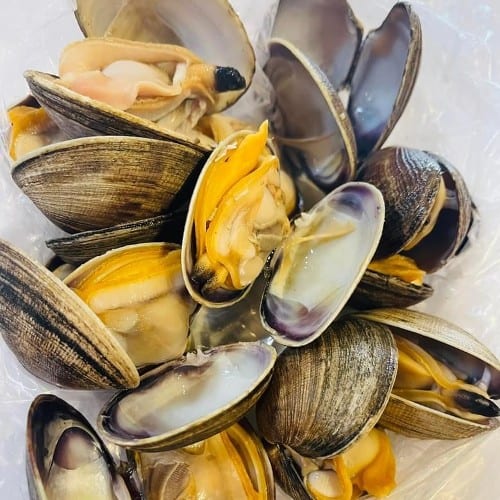Manila Clams.
