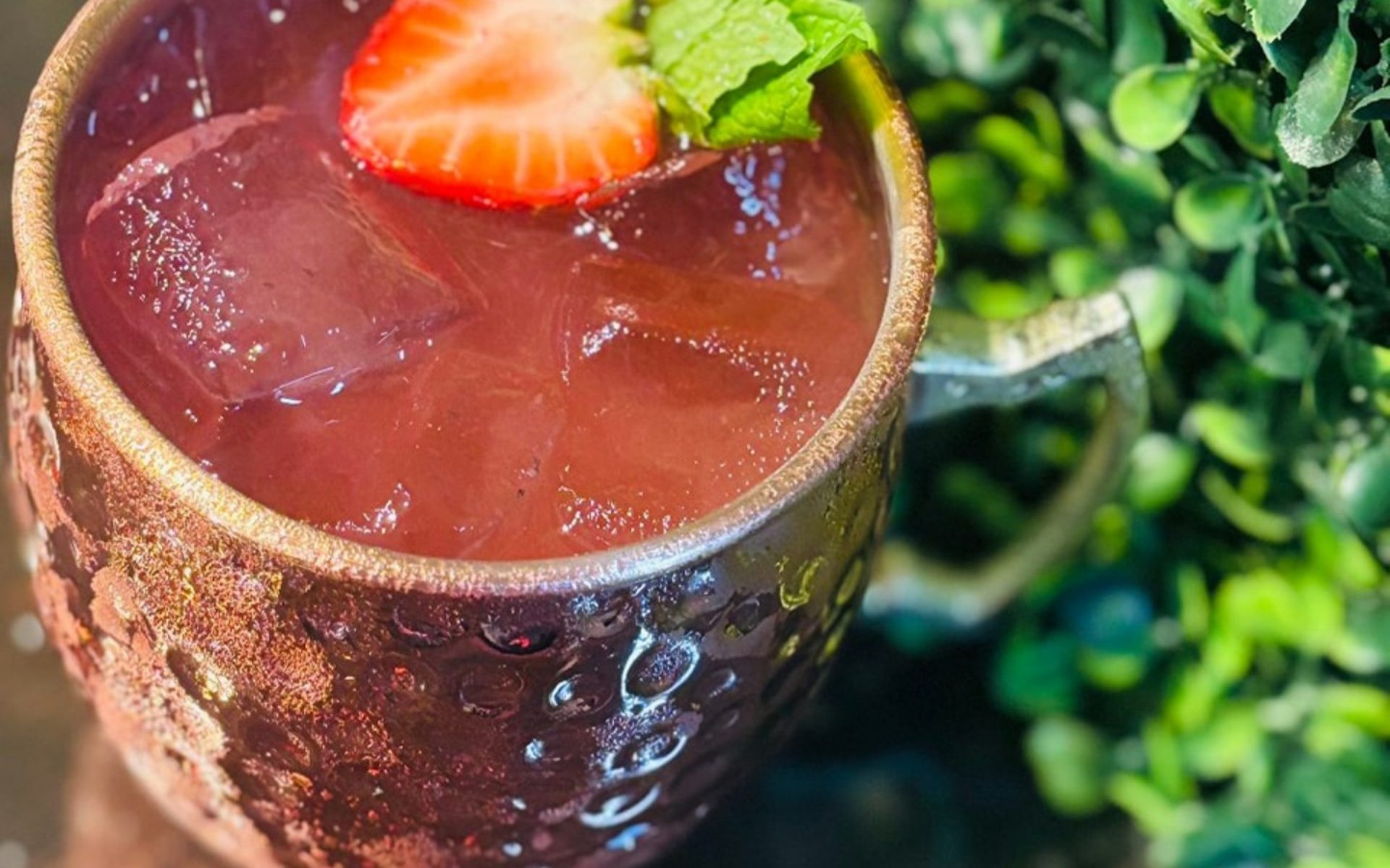 Snooks Grill & Cocktails Restaurant Rewards