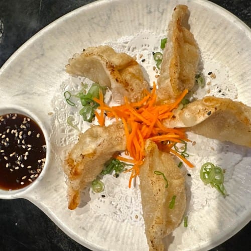 Chicken Teriyaki Gyoza.