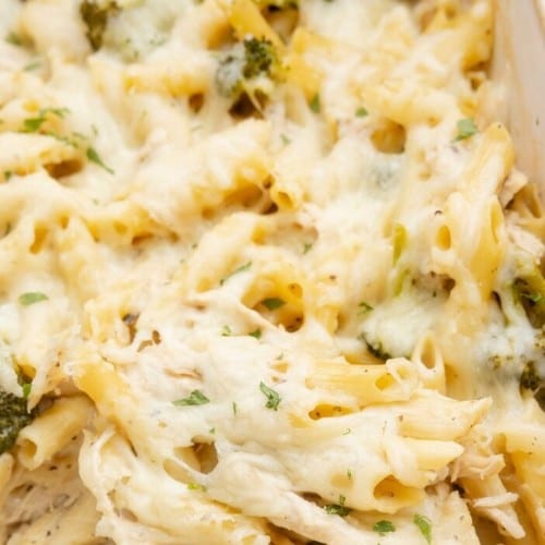 Chicken Alfredo.