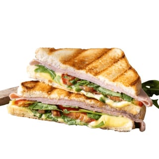 Alton Brown Panini