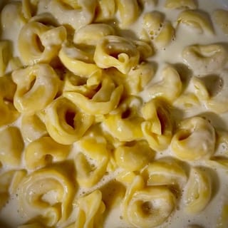 Tortellini Alfredo