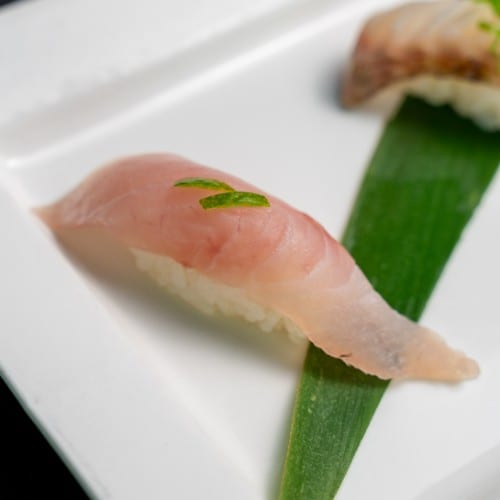 Kanpachi / Amberjack.