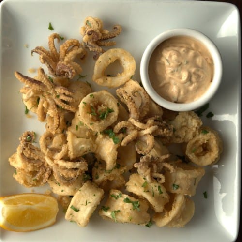 Feisty Calamari.