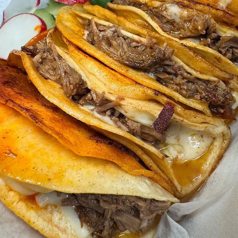 Hungry? We've Got What You Need 🌮