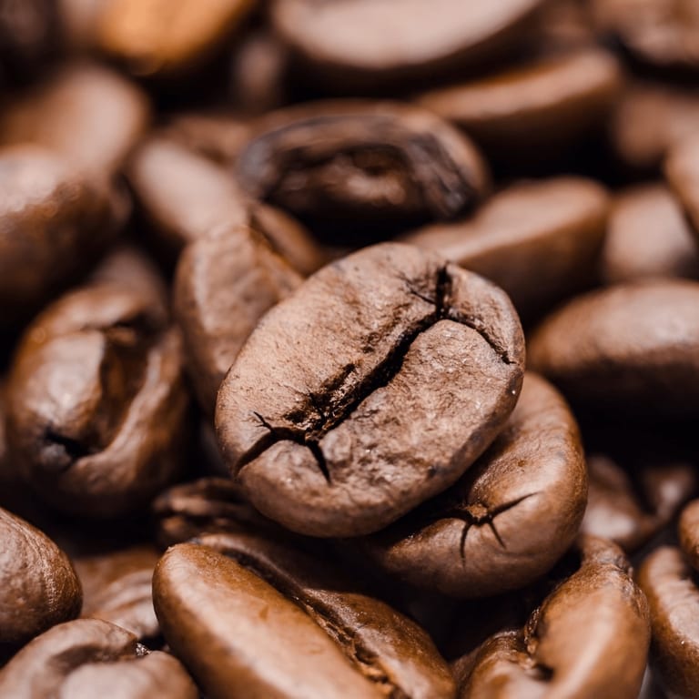 Coffee Catering for Your Next Event in New York