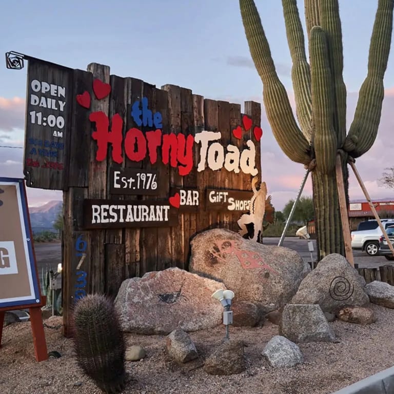 Welcome to The Horny Toad