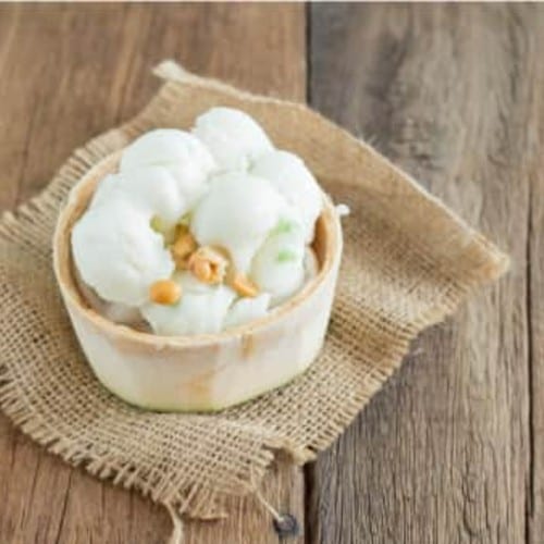 Coconut Ice Cream Shell.