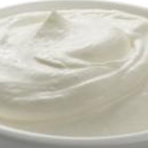 Plain Yogurt.