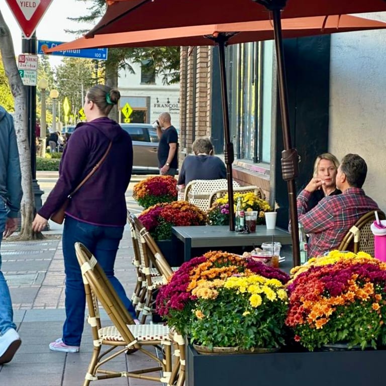 What Makes Us Special