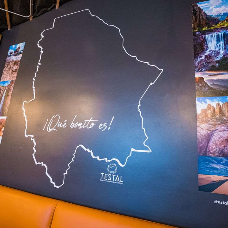 Welcome to Testal Mexican Kitchen