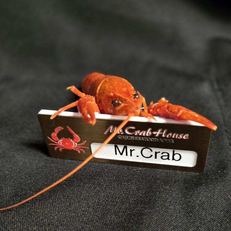 Food & Fun Together 🎉