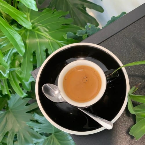 Espresso (Cold or Hot).