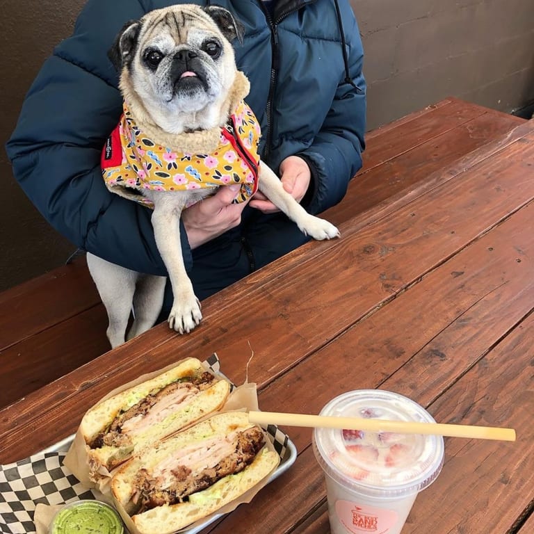 Community & Sustainability