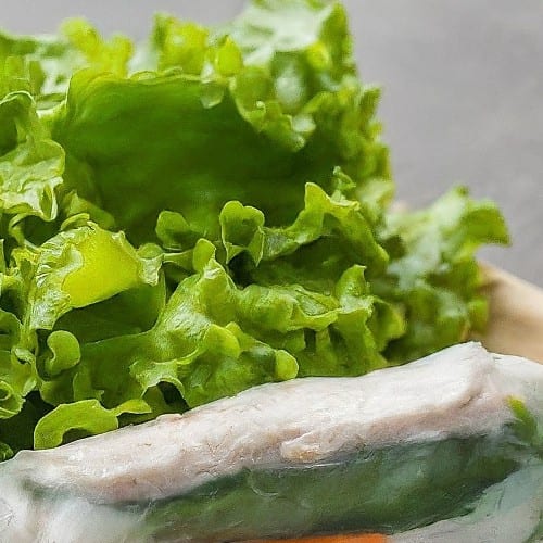 Gỏi Cuốn Ga - Chicken Summer Rolls.