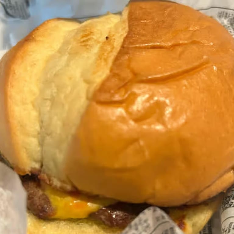 Burger Bliss: Juicy Creations and Classic Favorites