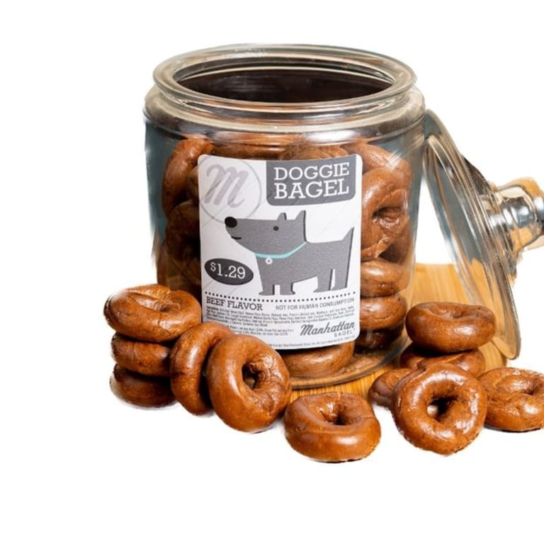 For Our Four-Legged Friends