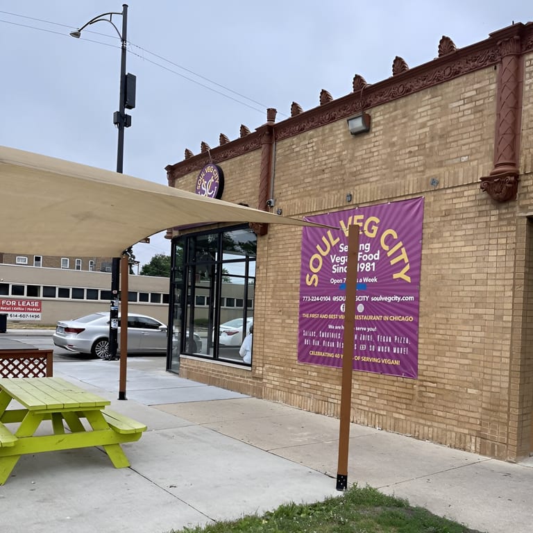 Welcome to Soul Veg City