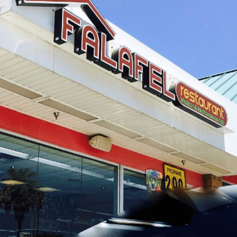 The Beginning of Casa De Falafel 🏠🧆